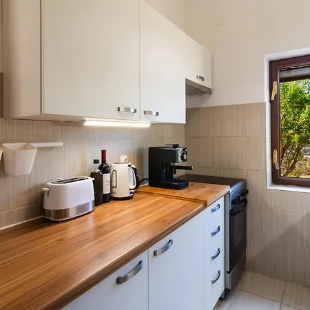 Pet Friendly In Rudina