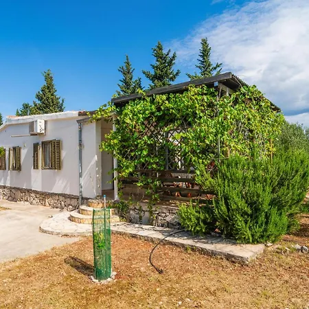Pet Friendly In Rudina