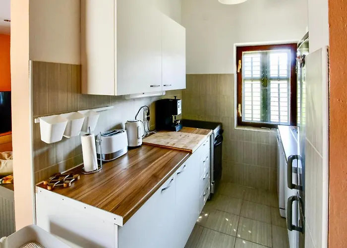 Pet Friendly In Tatil Evi Rudina