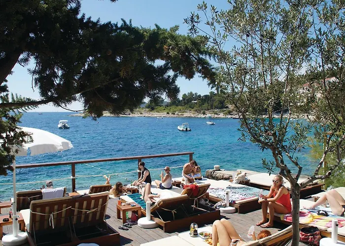Pet Friendly In * Rudina