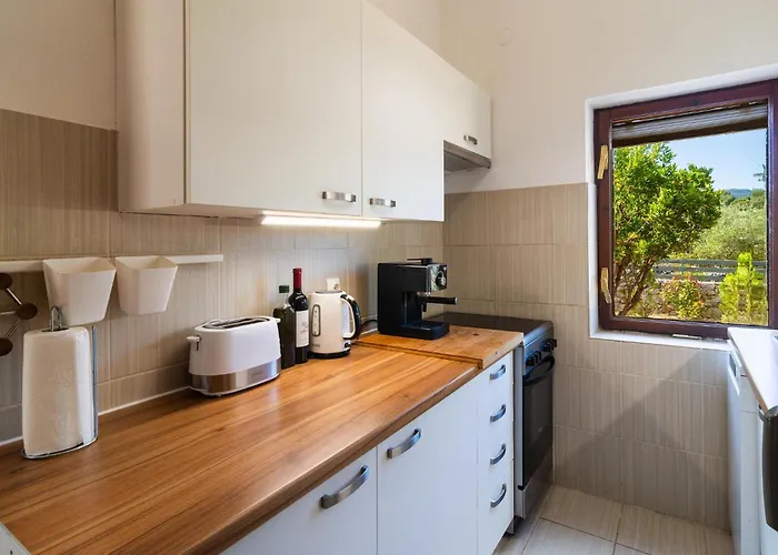 Pet Friendly In Rudina