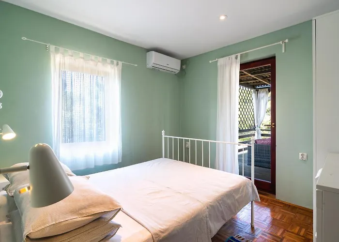 Pet Friendly In Rudina