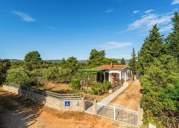 Pet Friendly In Tatil Evi Rudina