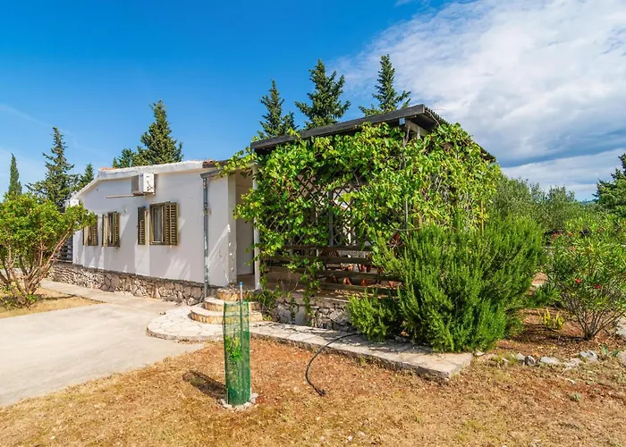 Pet Friendly In Rudina